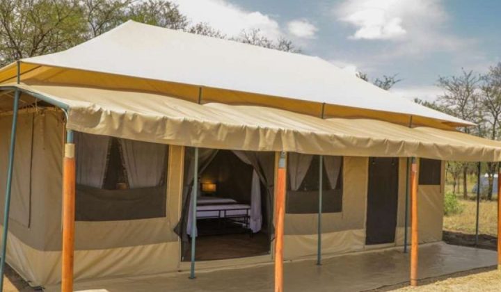 Into the Wild Africa Tented Camp (4)