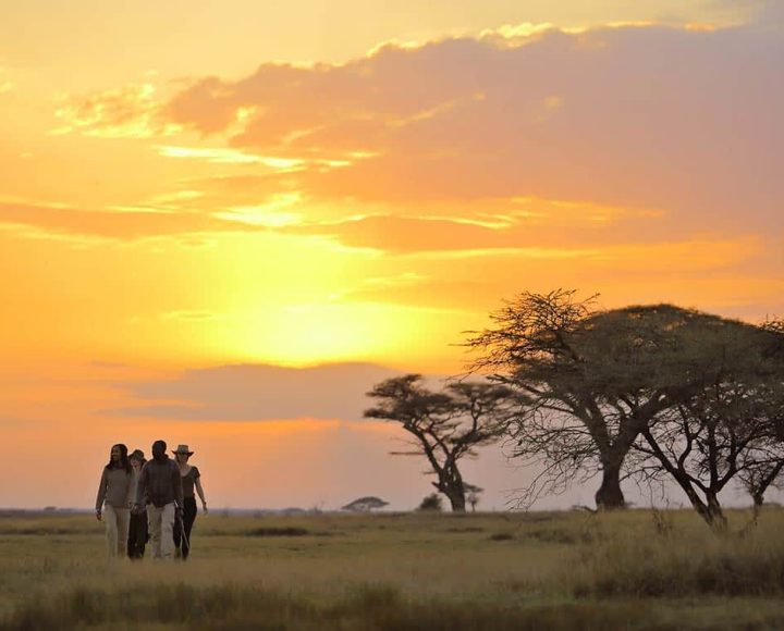 serengeti-national-park